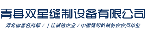 雙星縫制設備